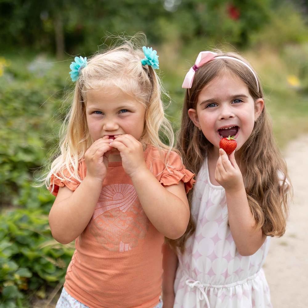 Opvoeden met hoofd én hart